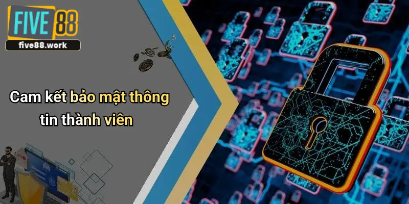 Cam kết bảo mật thông tin thành viên