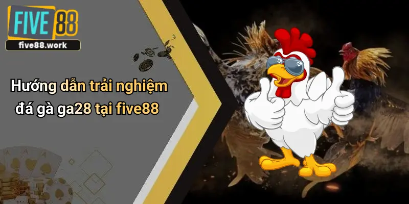 Hướng dẫn trải nghiệm đá gà ga28 tại five88