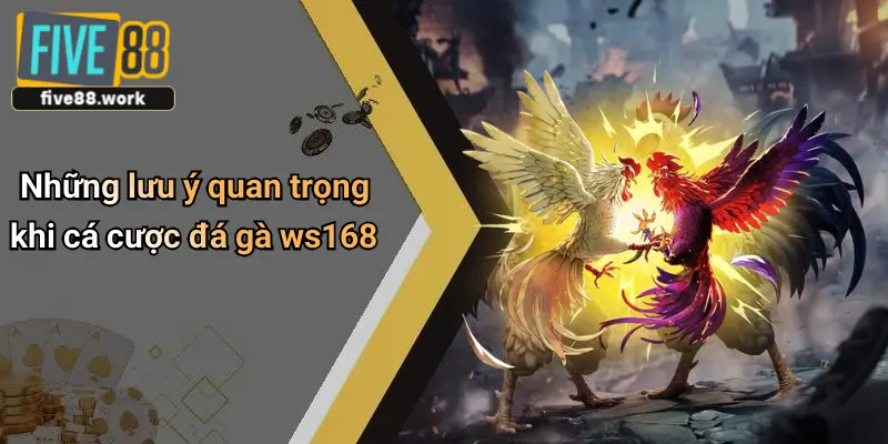 Những lưu ý quan trọng khi cá cược đá gà ws168
