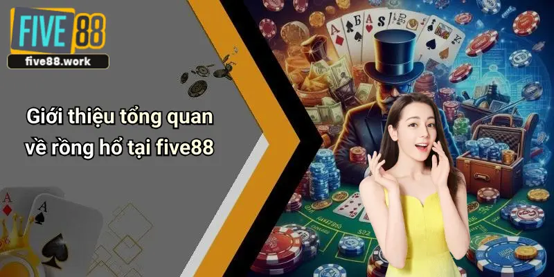 Giới thiệu tổng quan về rồng hổ tại five88