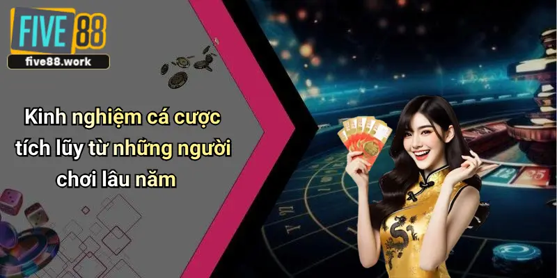 Kinh nghiệm cá cược tích lũy từ những người chơi lâu năm