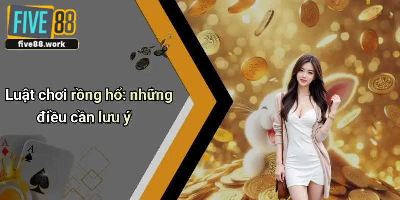 Luật chơi rồng hổ: những điều cần lưu ý